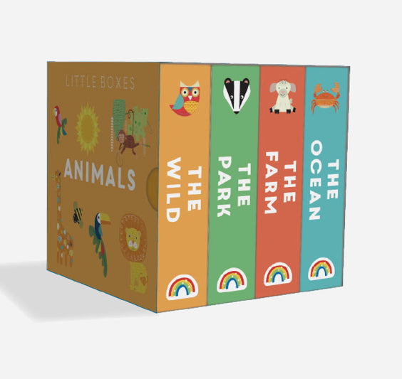 First Birthday Gift Box with Rainbow and Books