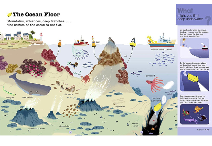 Oceans and Marine Life Hardback Book