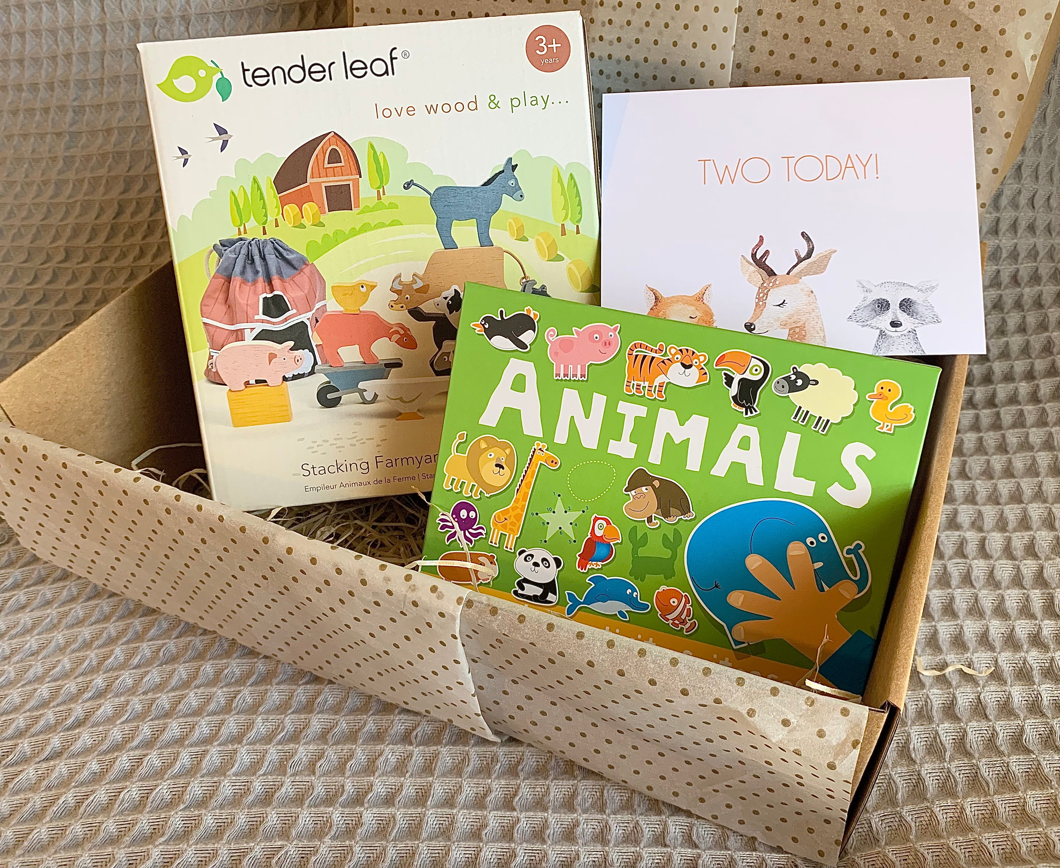 Second Birthday Gift Box with Wooden Toy Farm Animals and Animals Activity Books